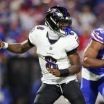 Bills, NFL ban fan who shoved DeAndre Hopkins and Lamar Jackson