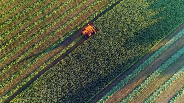 Agricultural harvesting at the last light of day, aerial view.